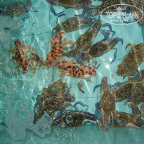 фото из отзыва ID 2060215