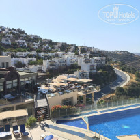 фото из отзыва ID 2060459