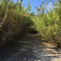 фото из отзыва ID 2060459