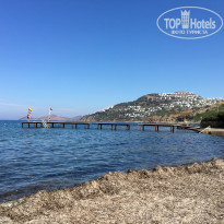 фото из отзыва ID 2060459