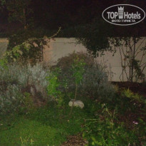 фото из отзыва ID 2060476