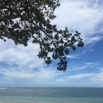 фото из отзыва ID 2060529