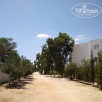 фото из отзыва ID 2060544