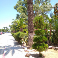 фото из отзыва ID 2060544