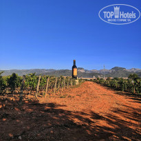 фото из отзыва ID 2060624