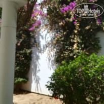 фото из отзыва ID 2060779