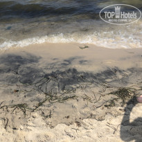 фото из отзыва ID 2060860