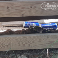 фото из отзыва ID 2060949