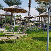 фото из отзыва ID 2060960