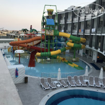 фото из отзыва ID 2060993