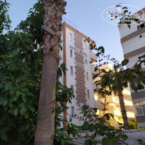 фото из отзыва ID 2061033