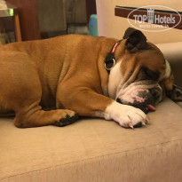 фото из отзыва ID 2061077