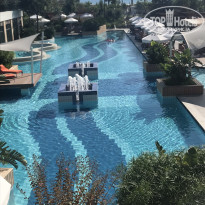 фото из отзыва ID 2061077