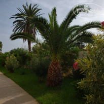 фото из отзыва ID 2061100