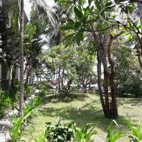 фото из отзыва ID 2061219