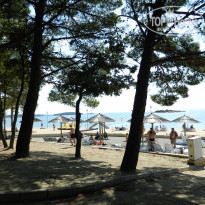 фото из отзыва ID 2061263