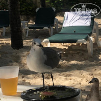 фото из отзыва ID 2061272