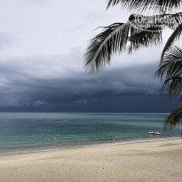 фото из отзыва ID 2060386