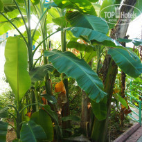 фото из отзыва ID 2061367