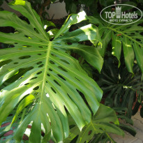 фото из отзыва ID 2061367