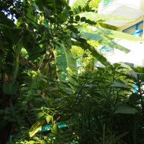 фото из отзыва ID 2061367