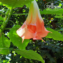 фото из отзыва ID 2061367