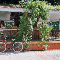 фото из отзыва ID 2061367