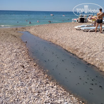 фото из отзыва ID 2061375