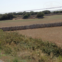 фото из отзыва ID 2061459