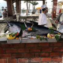 фото из отзыва ID 2061405