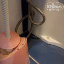 фото из отзыва ID 2061594