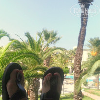 фото из отзыва ID 2061557