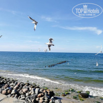 фото из отзыва ID 2061651