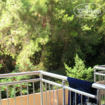 фото из отзыва ID 2061718