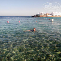 фото из отзыва ID 2061769