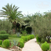 фото из отзыва ID 2061786