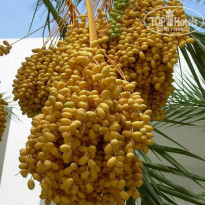 фото из отзыва ID 2061786