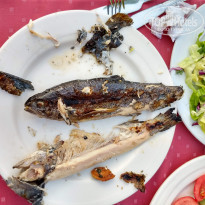 фото из отзыва ID 2061706