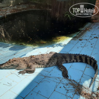 фото из отзыва ID 2061906