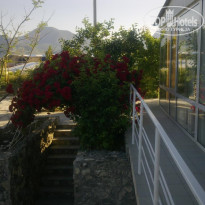 фото из отзыва ID 2061908