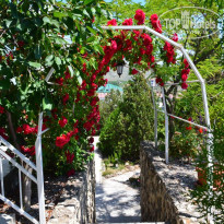 фото из отзыва ID 2061908