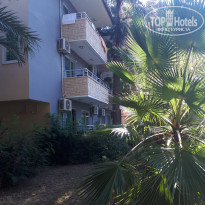 фото из отзыва ID 2061985