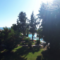 фото из отзыва ID 2061985