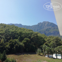 фото из отзыва ID 2061887