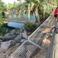 фото из отзыва ID 2061959