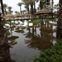 фото из отзыва ID 2061863