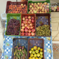 фото из отзыва ID 2061863