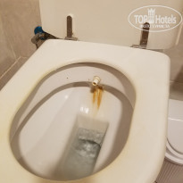 фото из отзыва ID 2062087