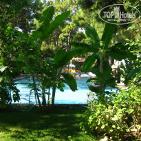 фото из отзыва ID 2061972