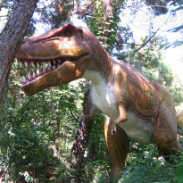 фото из отзыва ID 2061972